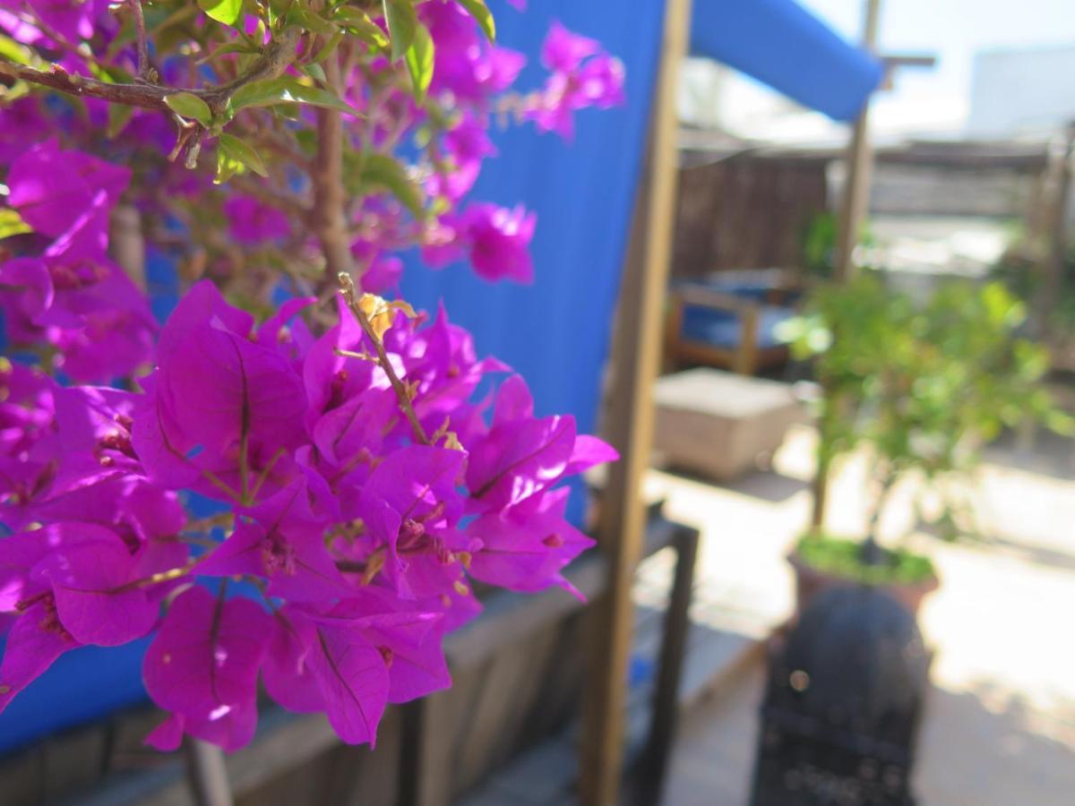 Casa Piratas Y Mina Apartment Cadiz Ngoại thất bức ảnh